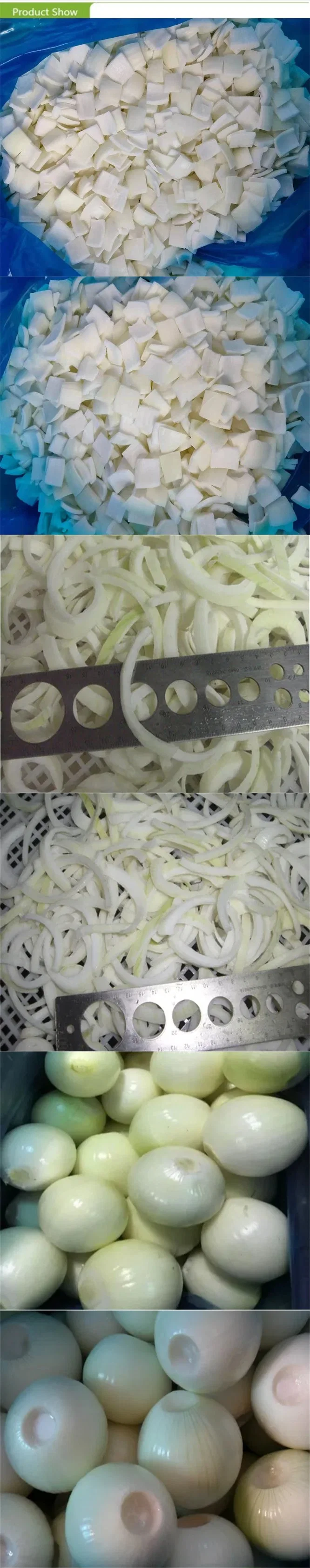 Frozen Peeled Onion Cuts 10*10 mm IQF Green Onion Diced for Europe Market