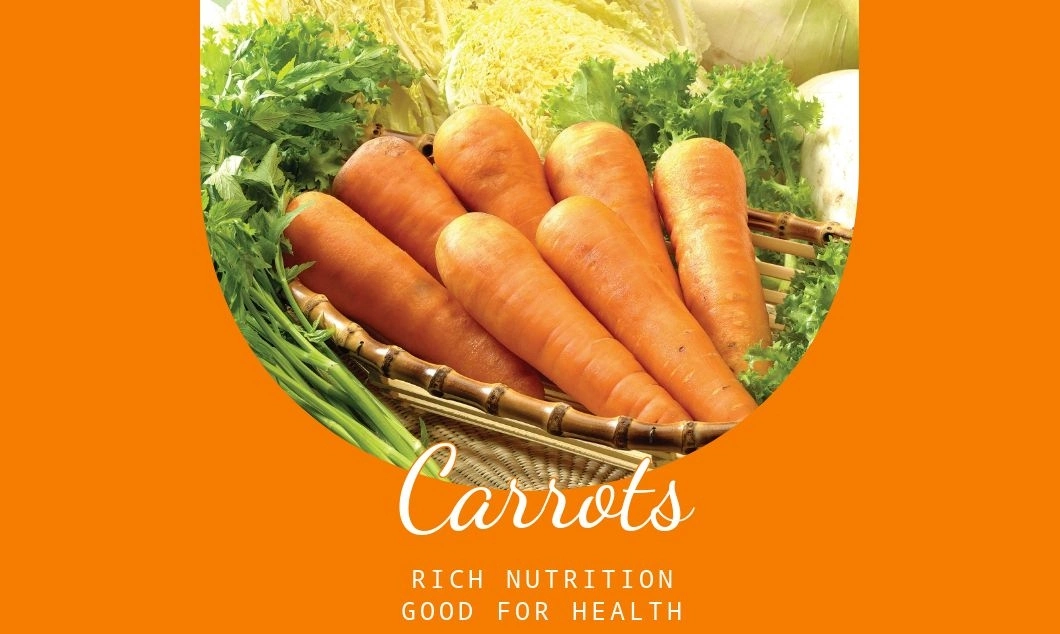 Wholesale Price Vitamin Sweet Carrot Vegetable Fresh Carrot