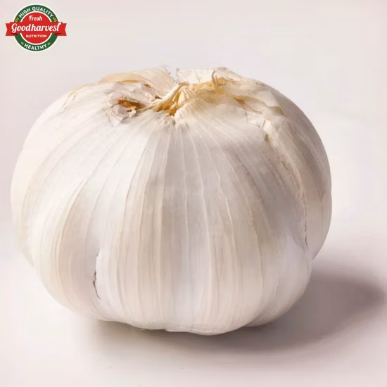 Precio barato al por mayor Ajo negro orgánico fermentado chino de una sola cabeza